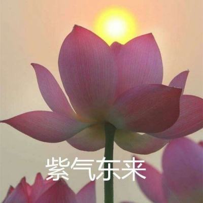 王者传奇上士版下载